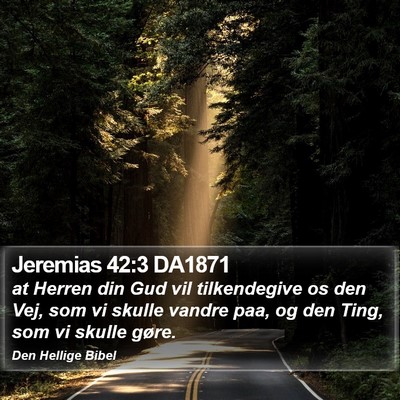 Jeremias 42:3 DA1871 Bible Verse Image