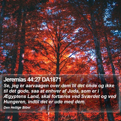 Jeremias 44:27 DA1871 Bible Verse Image