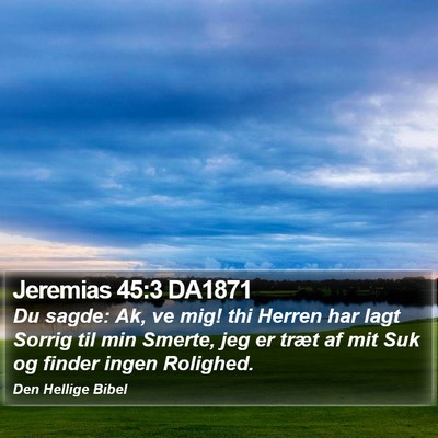 Jeremias 45:3 DA1871 Bible Verse Image