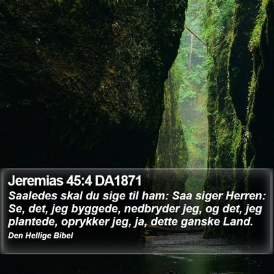 Jeremias 45:4 DA1871 Bible Verse Image