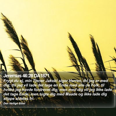 Jeremias 46:28 DA1871 Bible Verse Image