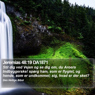Jeremias 48:19 DA1871 Bible Verse Image