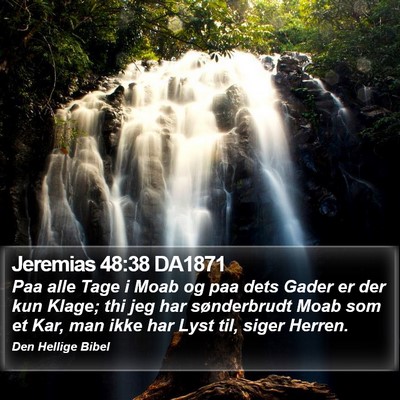 Jeremias 48:38 DA1871 Bible Verse Image