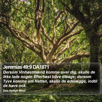 Jeremias 49:9 DA1871 Bible Verse Image