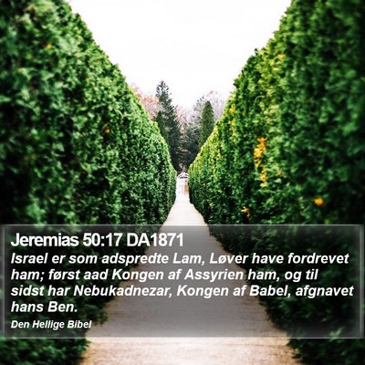 Jeremias 50:17 DA1871 Bible Verse Image