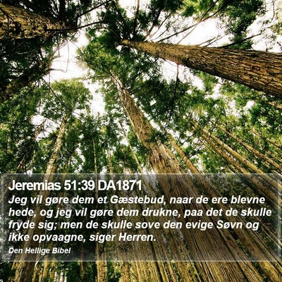 Jeremias 51:39 DA1871 Bible Verse Image