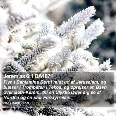 Jeremias 6:1 DA1871 Bible Verse Image