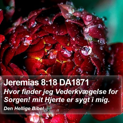 Jeremias 8:18 DA1871 Bible Verse Image