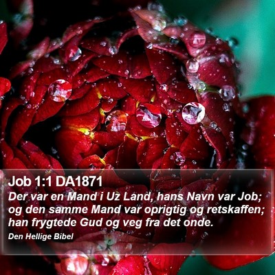 Job 1:1 DA1871 Bible Verse Image