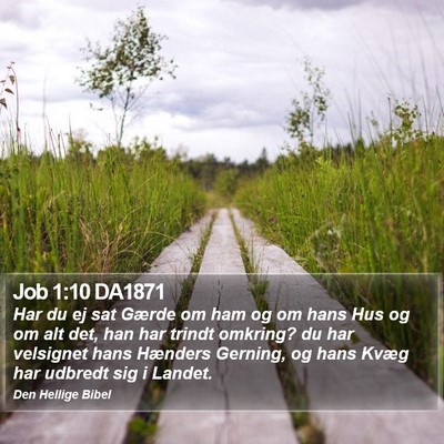 Job 1:10 DA1871 Bible Verse Image
