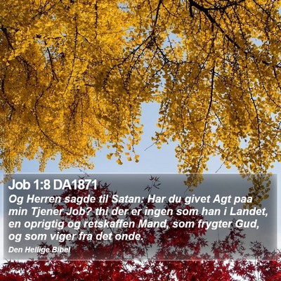 Job 1:8 DA1871 Bible Verse Image
