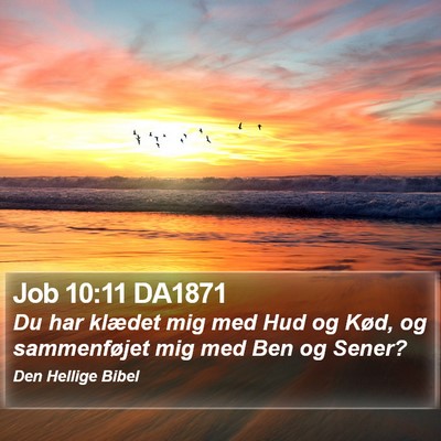 Job 10:11 DA1871 Bible Verse Image