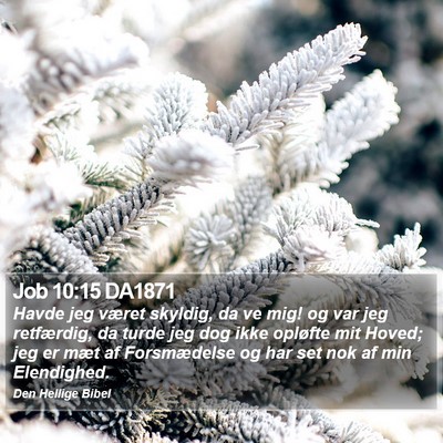 Job 10:15 DA1871 Bible Verse Image