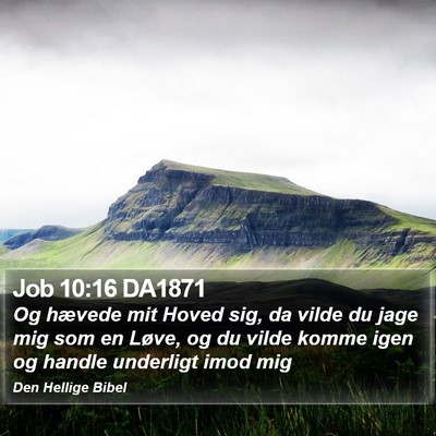 Job 10:16 DA1871 Bible Verse Image