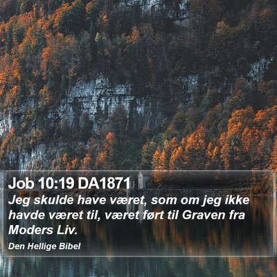 Job 10:19 DA1871 Bible Verse Image