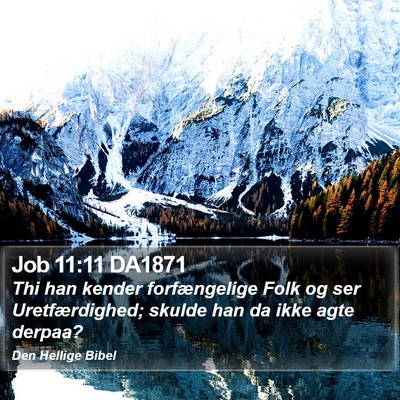 Job 11:11 DA1871 Bible Verse Image