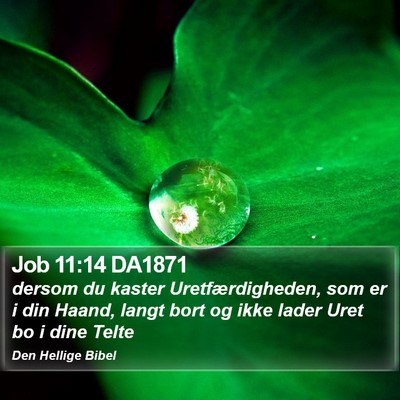 Job 11:14 DA1871 Bible Verse Image
