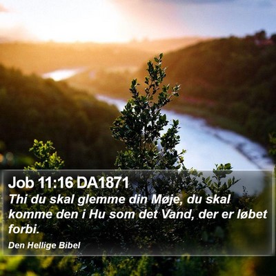 Job 11:16 DA1871 Bible Verse Image