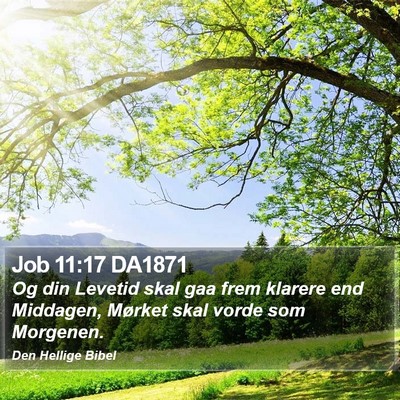 Job 11:17 DA1871 Bible Verse Image