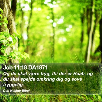 Job 11:18 DA1871 Bible Verse Image