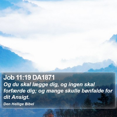 Job 11:19 DA1871 Bible Verse Image