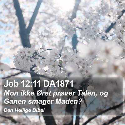 Job 12:11 DA1871 Bible Verse Image