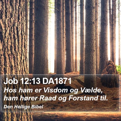 Job 12:13 DA1871 Bible Verse Image