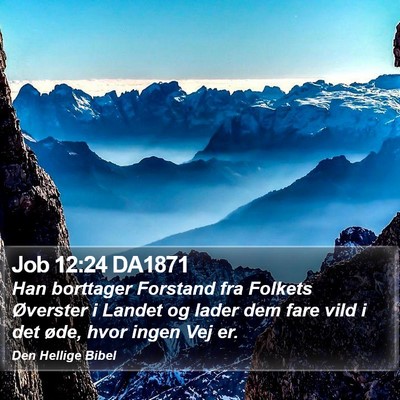 Job 12:24 DA1871 Bible Verse Image