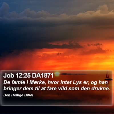 Job 12:25 DA1871 Bible Verse Image