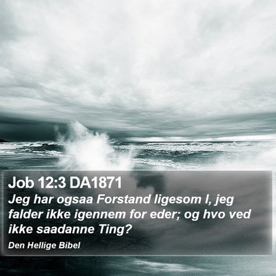 Job 12:3 DA1871 Bible Verse Image