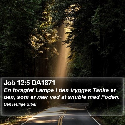 Job 12:5 DA1871 Bible Verse Image