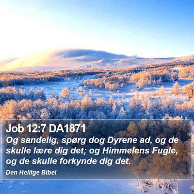 Job 12:7 DA1871 Bible Verse Image