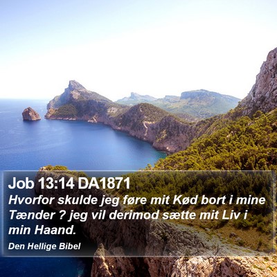 Job 13:14 DA1871 Bible Verse Image