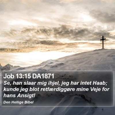 Job 13:15 DA1871 Bible Verse Image