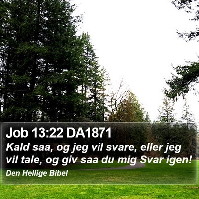 Job 13:22 DA1871 Bible Verse Image