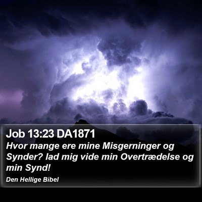 Job 13:23 DA1871 Bible Verse Image