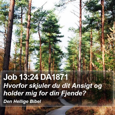 Job 13:24 DA1871 Bible Verse Image