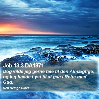 Job 13:3 DA1871 Bible Verse Image