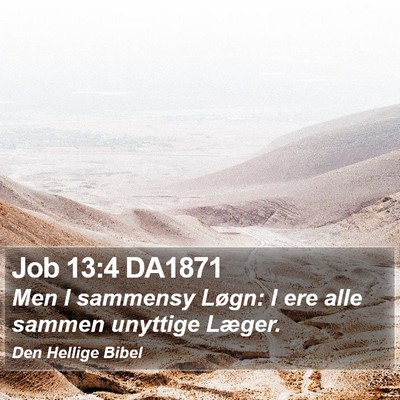 Job 13:4 DA1871 Bible Verse Image