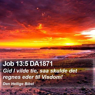 Job 13:5 DA1871 Bible Verse Image