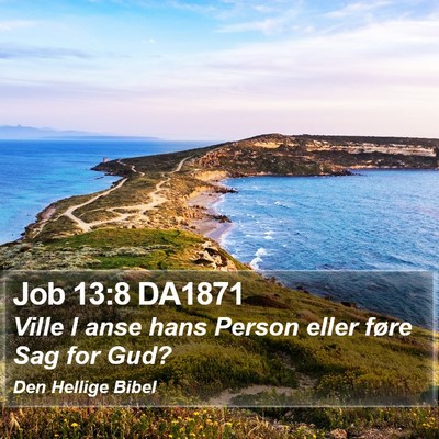 Job 13:8 DA1871 Bible Verse Image
