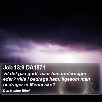 Job 13:9 DA1871 Bible Verse Image