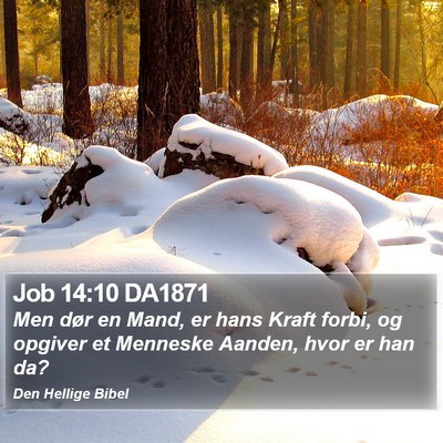 Job 14:10 DA1871 Bible Verse Image