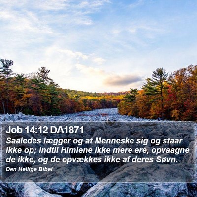 Job 14:12 DA1871 Bible Verse Image