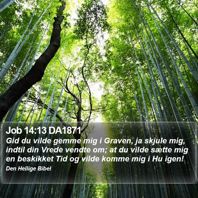 Job 14:13 DA1871 Bible Verse Image