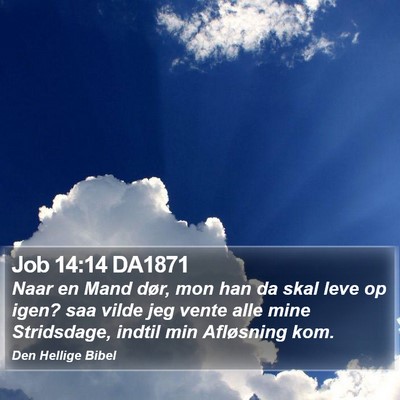 Job 14:14 DA1871 Bible Verse Image