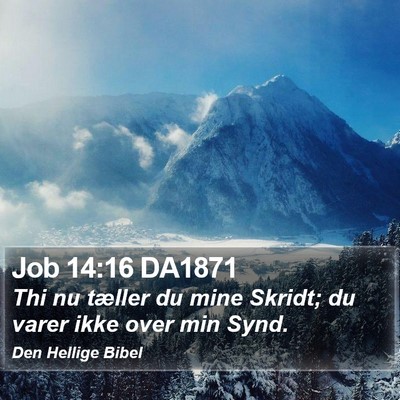 Job 14:16 DA1871 Bible Verse Image