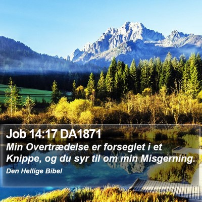 Job 14:17 DA1871 Bible Verse Image