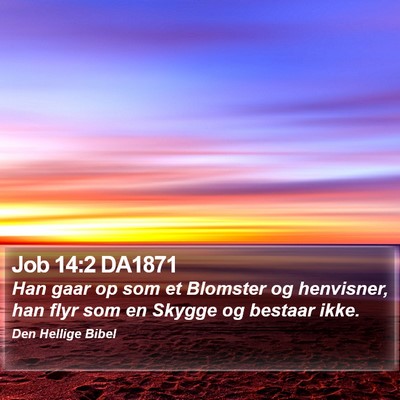 Job 14:2 DA1871 Bible Verse Image