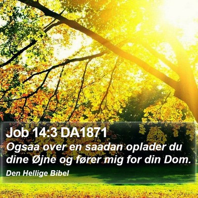 Job 14:3 DA1871 Bible Verse Image